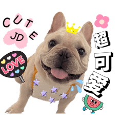 JD捷弟 法豬豬2.0