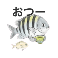 KOJAKE_20260416073310