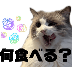 Hyunjoon_20260416073445