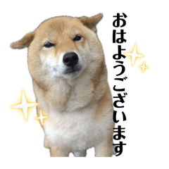 chanmei_20260416060435