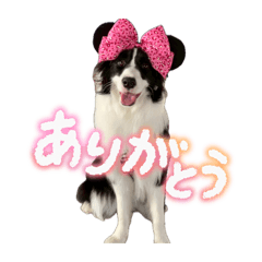 Kamono_20260416080505