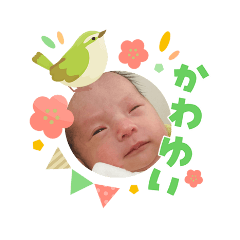 misako_20260416081420