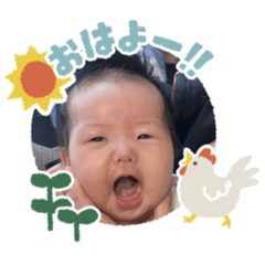 rical_20260416081854