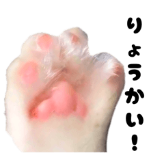 arinomama*_20260416074138