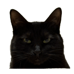 naoto_20260416080741