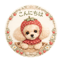 song june_20260416080928