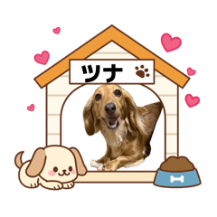 Tsuna_20260416081536