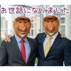 PAKAMOGOLY_20260416094803