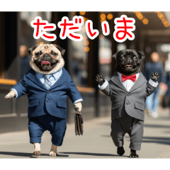 PAKAMOGOLY_20260416095413