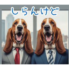 PAKAMOGOLY_20260416095802