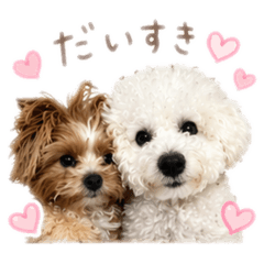 Moco miru_20260416105440