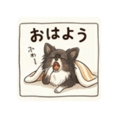 shunachiwa_20260416100629