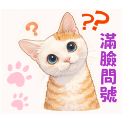 老闆娘&碗粿の呆萌時光