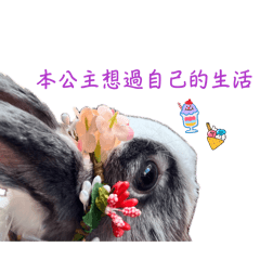 花椰菜小姐的日常實用貼圖