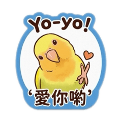 yoyo快樂生活