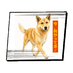 tokujo_20260416110207