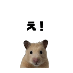 moecha_20260415142546