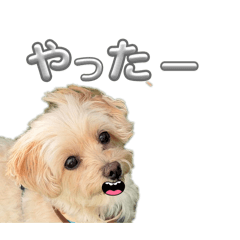kankun_20260415161854