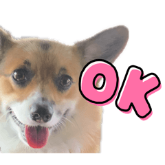 tatsumaru_20260415162034