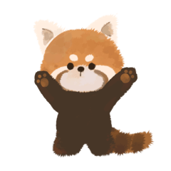 Red panda cub