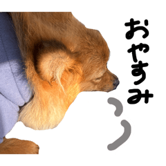 guruto_20260412154237