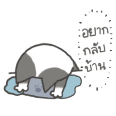 Salary meow meow TH ver