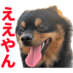 EnjoyGoodjob_20260415180813