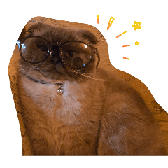 yumin_20260412145529