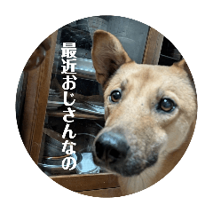 honories.tanu_20260412182346