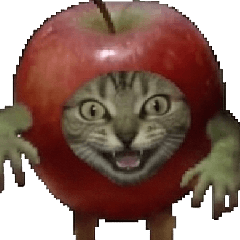 Cat meme [apple cat] 003