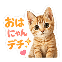 AoiNyan_20260415114921