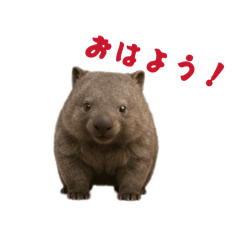 enoki_20260415170941