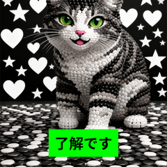 Othello Black & White Cat