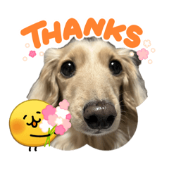 reimi_20260415195249