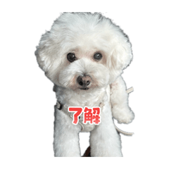 kanta_20260415195544