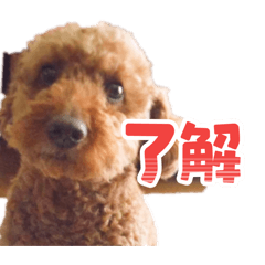 cocowanco_20260415195652