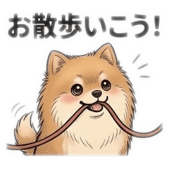 Fluffy Pomeranian -Daily Life 5-