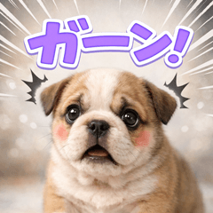 とびだす★ブルドッグ★日常★ブル♡犬