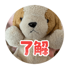 Meishiz_20260412170627