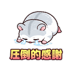 Adorable but Surreal white Hamster3