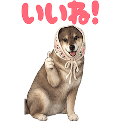 Hana Shiba Inu Stickers