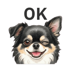 Yamato.J_20260415171103