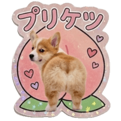 Cute and sparkly dog sticker set