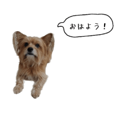 chachamaru_20260416082440