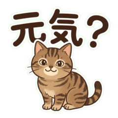 Brown Tabby Japanese Greeting 14