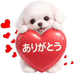 Maltese Dog Healing Daily Stickers Ver.2