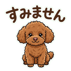 Toy Poodle Japanese Greeting 4