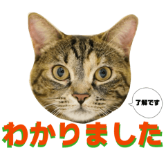 Junko Ishihara_20260415194906