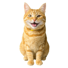 Cute Ginger Tabby Cat Stickers6