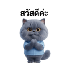 Niwannipha_20260416112404